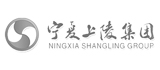 寧夏上陵集團 網(wǎng)站搭建